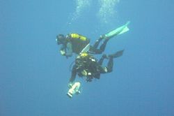 dive in the blue - Princesa Alice seamount by David Abecasis 
